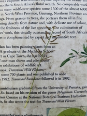 Pogonarthria squarrosa