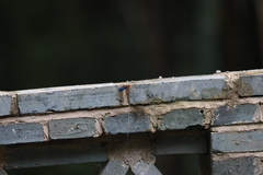 Pompiloidea