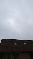 Milvus milvus milvus