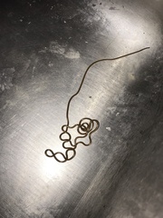 Gordioidea