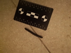 Archispirostreptus syriacus