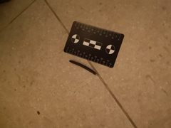 Archispirostreptus syriacus