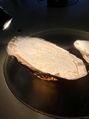 Uniomerus columbensis