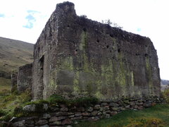 Stellaria serpyllifolia