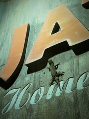 Hemidactylus platyurus