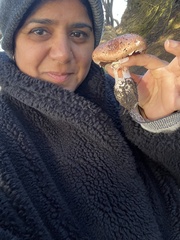 Agaricus brunneofibrillosus