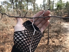 Crataegus spathulata