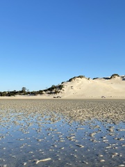 Akera soluta