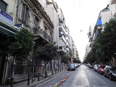 Columba livia domestica