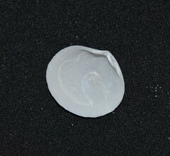 Semele proficua