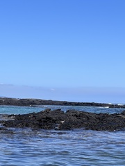 Butorides striata sundevalli