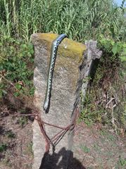 Natrix astreptophora