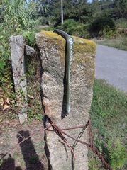 Natrix astreptophora