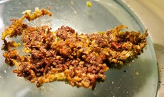 Ptilidium pulcherrimum