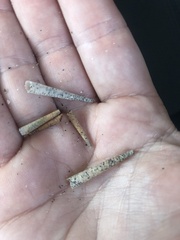 Lagis