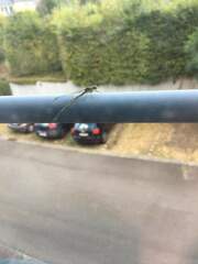 Erythromma viridulum