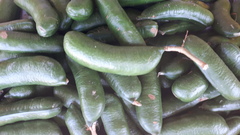 Archidendron bubalinum