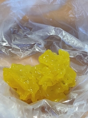 Tremella mesenterica