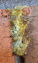 Epsilon chartergiforme