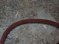 Calliophis intestinalis