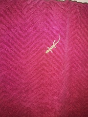 Hemidactylus mabouia