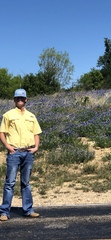 Lupinus texensis