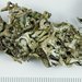 Hypogymnia schizidiata - Photo (c) tom_carlberg,  זכויות יוצרים חלקיות (CC BY-NC), הועלה על ידי tom_carlberg