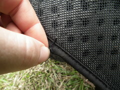 Erythrodiplax basalis