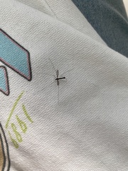 Armigeres subalbatus