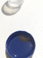 Acotylea