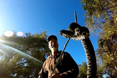 Sistrurus miliarius barbouri