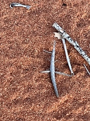 Warramaba