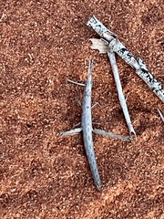 Warramaba