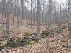 Fontinalis dalecarlica