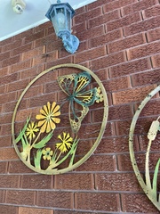 Telephlebia godeffroyi