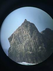 Leucocarbo georgianus