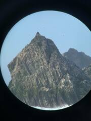 Leucocarbo georgianus