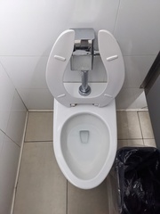 Clogmia albipunctata