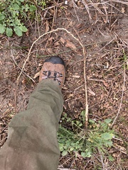 Rhamphospermum nigrum