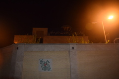 Hemidactylus flaviviridis