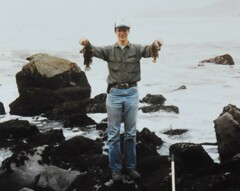 Sebastes rastrelliger