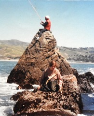 Hexagrammos lagocephalus