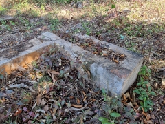 Gomphrenoideae