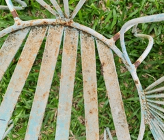 Hemidactylus mabouia