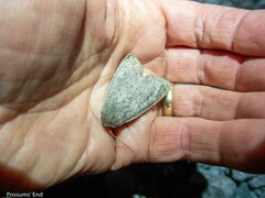 Ichneutica nullifera