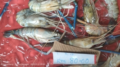 Macrobrachium rosenbergii