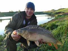 Cyprinus carpio carpio