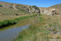 Cyanallagma interruptum