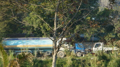 Alcedo atthis bengalensis