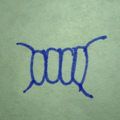 Scenedesmaceae